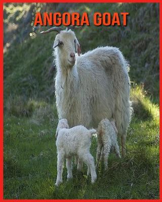 Book cover for Angora Goat