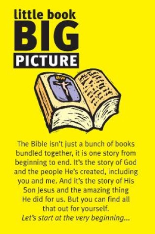 Cover of Little Book: Big Picture