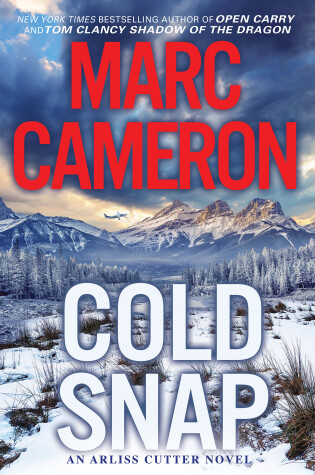 Cover of Cold Snap