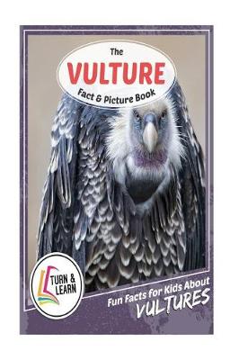 Book cover for The Vulture Fact and Picture Book