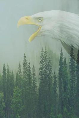 Book cover for Bald Eagle journal