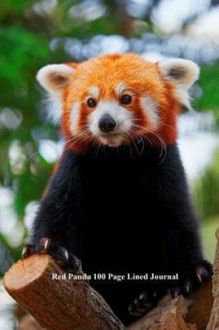 Cover of Red Panda 100 Page Lined Journal