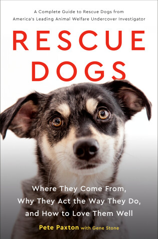 Cover of Rescue Dogs