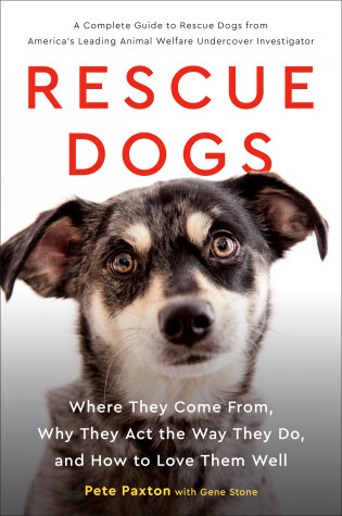 Book cover for Rescue Dogs