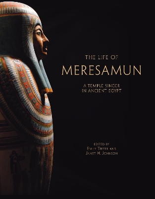 Book cover for Life of Meresamun