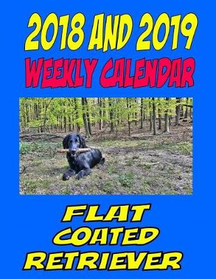 Book cover for 2018 and 2019 Weekly Calendar Flat Coated Retriever