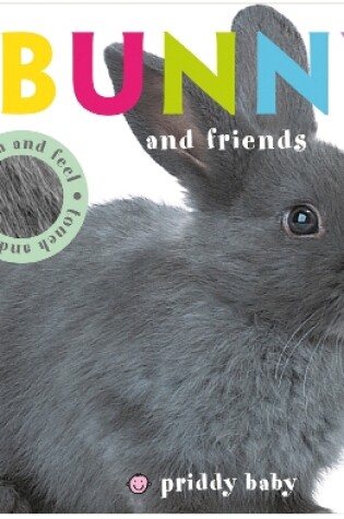 Cover of Touch & Feel Bunny and Friends