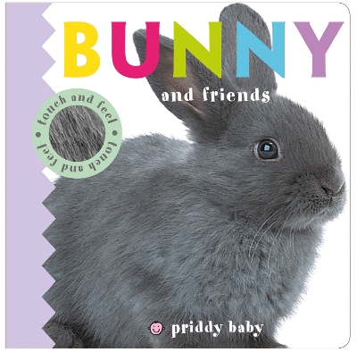 Cover of Touch & Feel Bunny and Friends