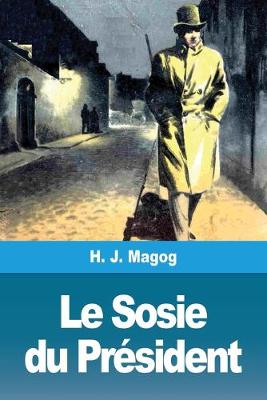 Book cover for Le Sosie du Président