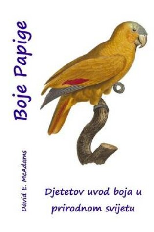 Cover of Boje Papige