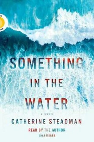 Cover of Something In The Water