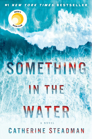 Book cover for Something in the Water