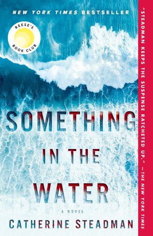 Book cover for Something in the Water