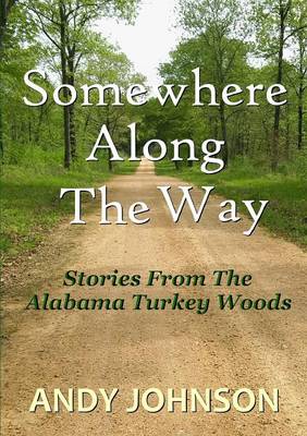 Book cover for Somewhere Along the Way