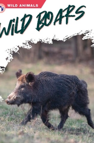 Cover of Wild Boars