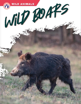 Book cover for Wild Boars