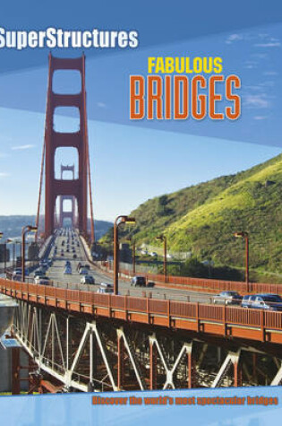 Cover of Amazing Bridges
