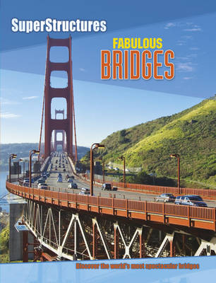 Cover of Amazing Bridges