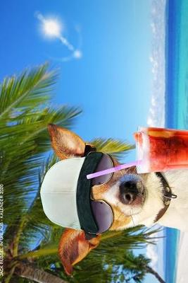 Book cover for Jack Russel im Urlaub - Kalender 2020