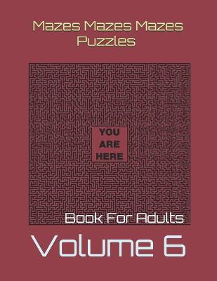 Book cover for Mazes Mazes Mazes Puzzles Book For Adults - Volume 6