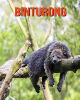 Book cover for Binturong