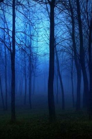 Cover of Blue Morning Mist in the Forest