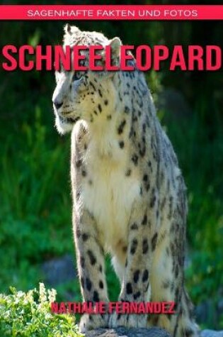 Cover of Schneeleopard