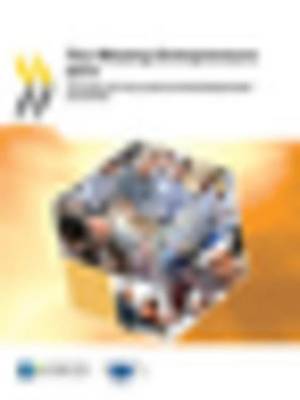 Book cover for The Missing Entrepreneurs 2014