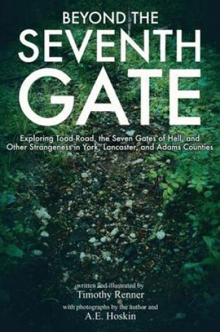 Cover of Beyond the Seventh Gate