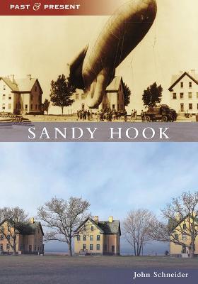 Cover of Sandy Hook