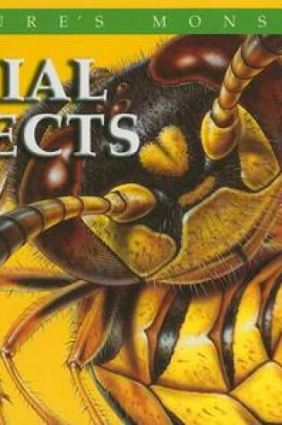 Cover of Social Insects