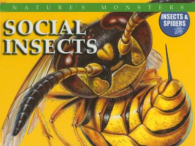 Book cover for Social Insects