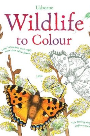 Cover of Wildlife to Colour