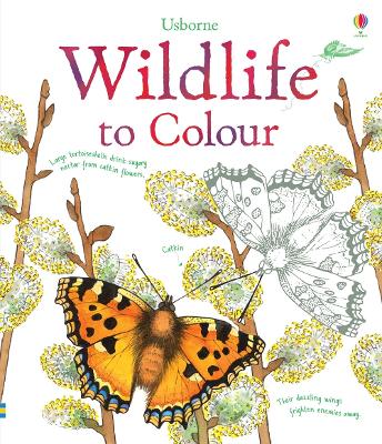 Book cover for Wildlife to Colour