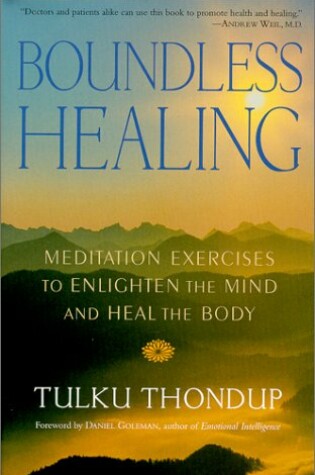 Cover of Boundless Healing