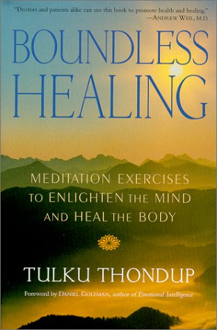 Book cover for Boundless Healing