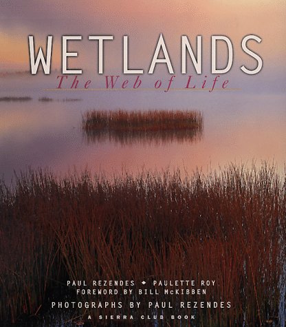 Book cover for Wetlands