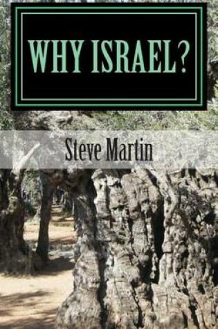 Cover of Why Israel?