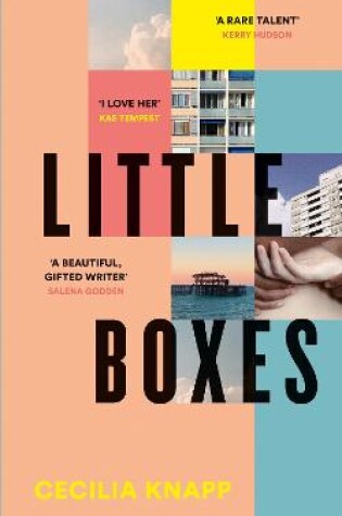 Cover of Little Boxes