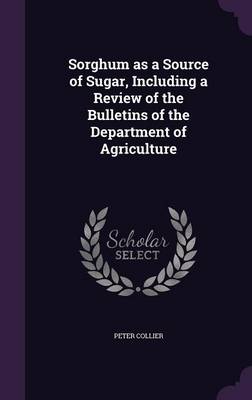 Book cover for Sorghum as a Source of Sugar, Including a Review of the Bulletins of the Department of Agriculture