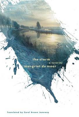 Book cover for Storm