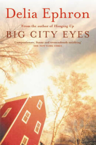 Cover of Big City Eyes