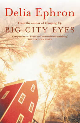 Book cover for Big City Eyes