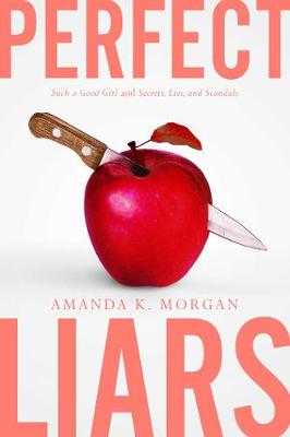Book cover for Perfect Liars