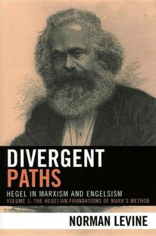 Cover of Divergent Paths