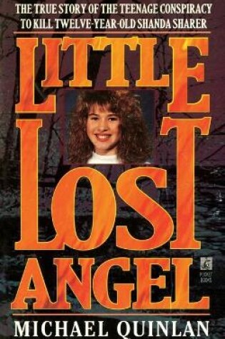 Cover of Little Lost Angel