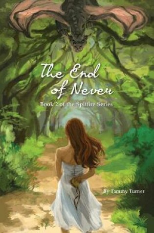 Cover of The End of Never