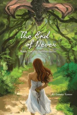 Book cover for The End of Never