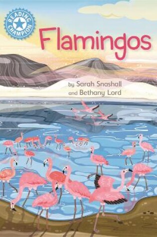 Cover of Reading Champion: Flamingos