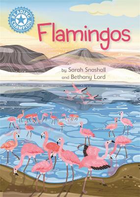 Book cover for Reading Champion: Flamingos